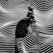 Suddenly Last Summer