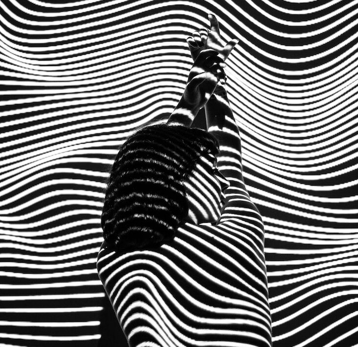 Suddenly Last Summer