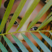 uganda-LGBTQ-police-targets