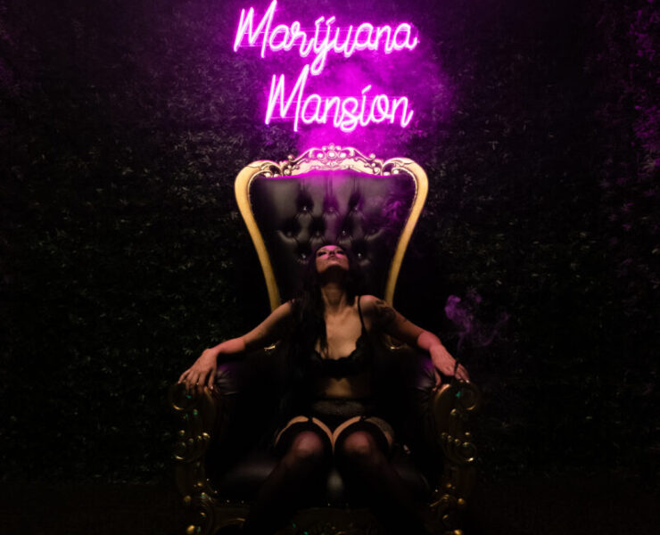 marijuana mansion
