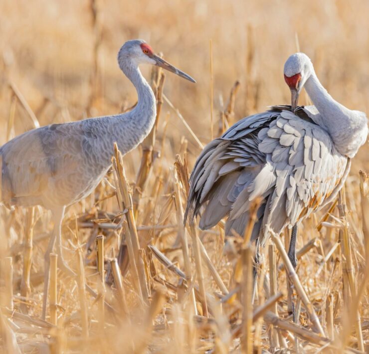 Denver Museum of Nature and Science