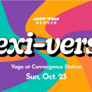 Meow Wolf Flexiverse