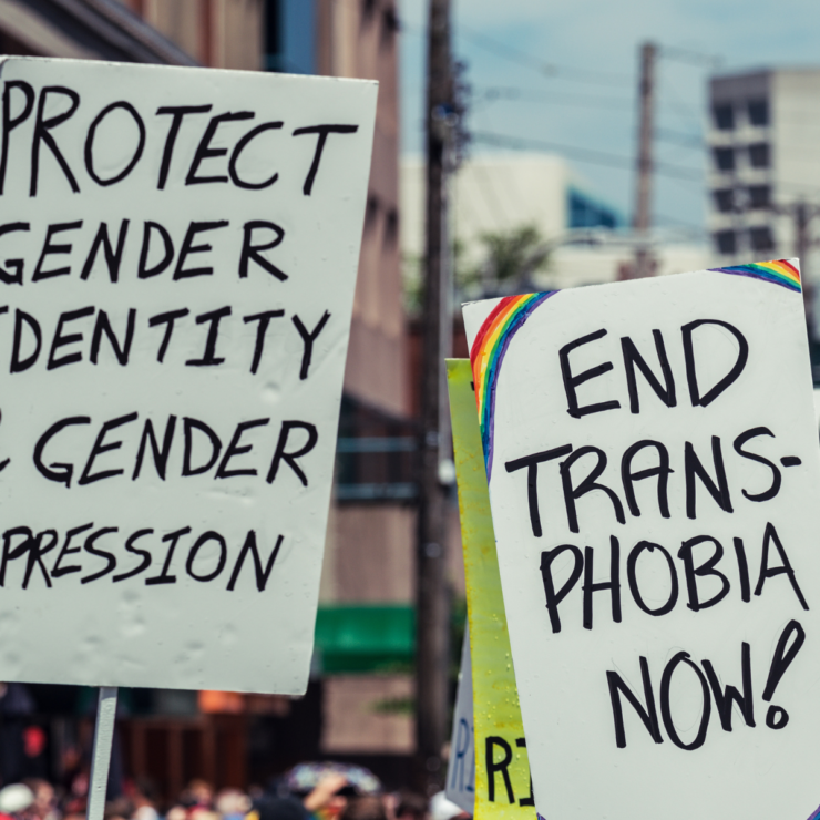 Anti-Trans Laws in Florida