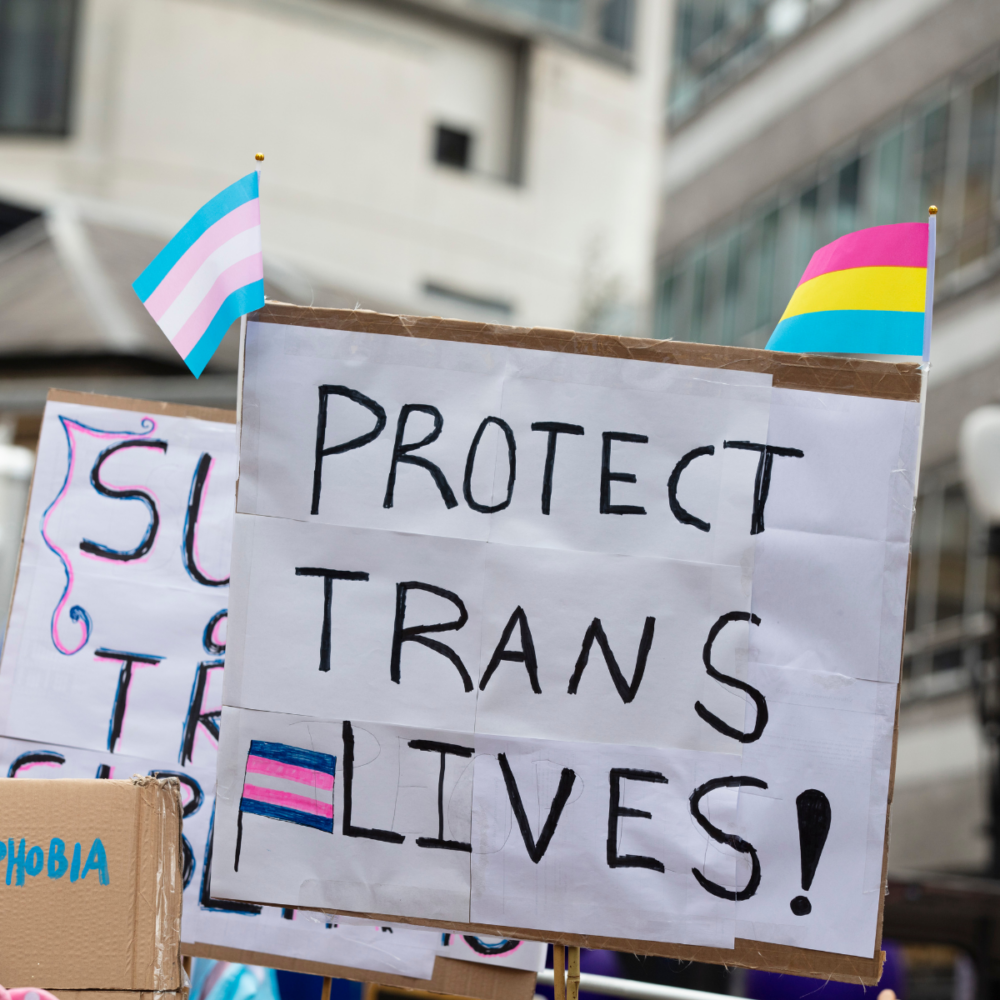 Protests at the Florida House of Representatives