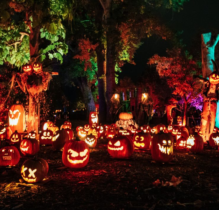 Magic of the Jack O’Lanterns