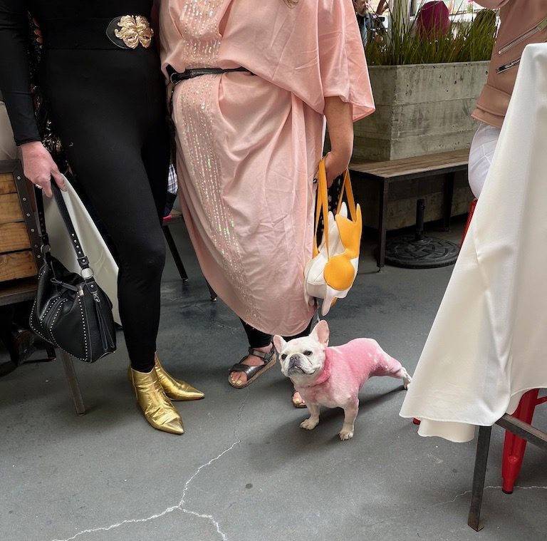 French Bulldog dyed pink at the feet of it's owner