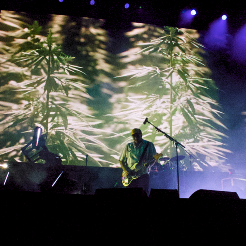 Close up of Rome fronting Sublime