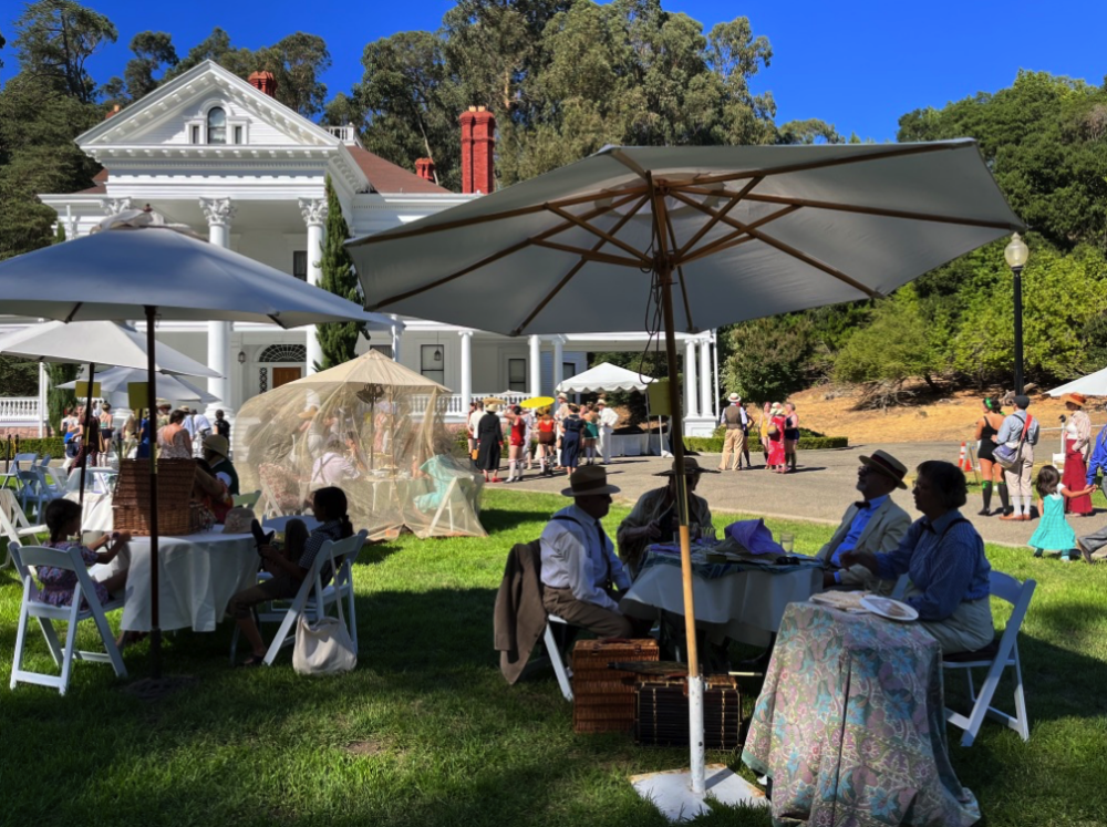 the lawn with tables and umbrellas