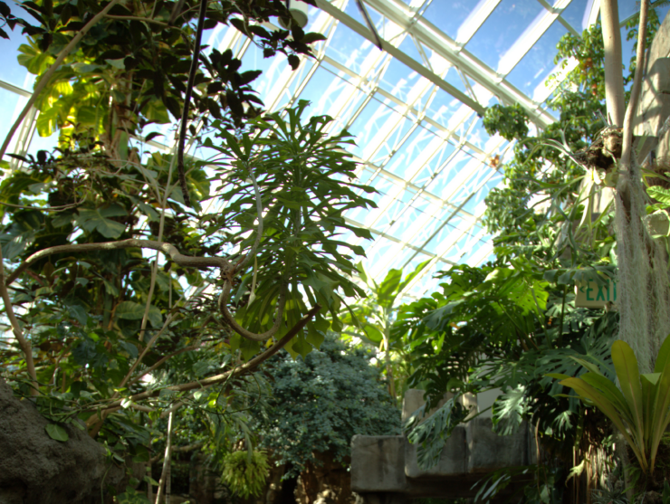 Tropical Discovery Reopens at Denver Zoo Conservation Alliance