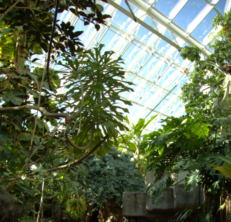 Tropical Discovery Reopens at Denver Zoo Conservation Alliance