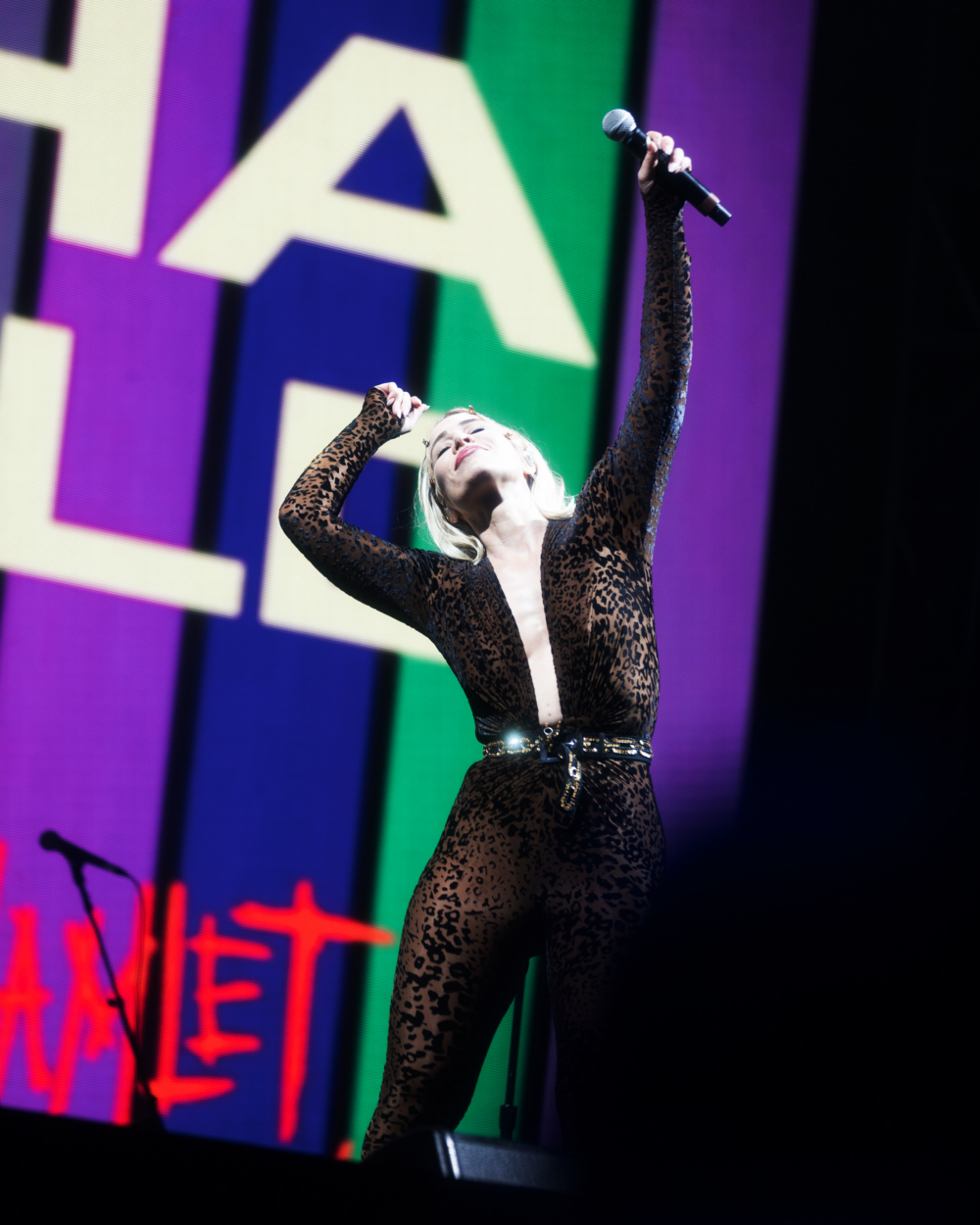 Natasha Bedingfield sings with one hand in the air.