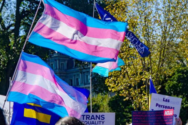 Trans flags wave in front of Montana's Supreme Court.
