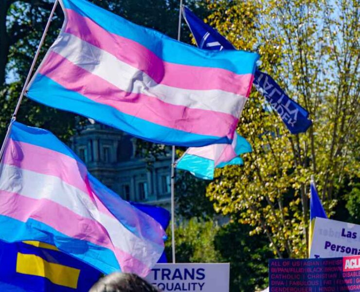 Trans flags wave in front of Montana's Supreme Court.