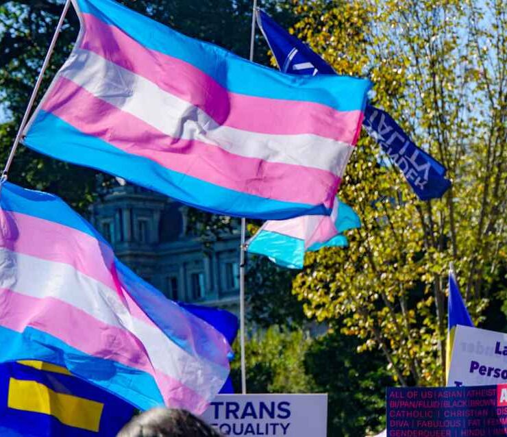 Trans flags wave in front of Montana's Supreme Court.