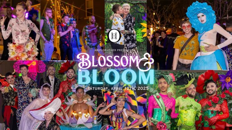 Blossom & Bloom
