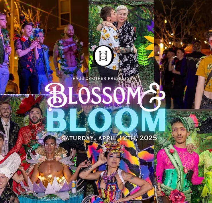 Blossom & Bloom