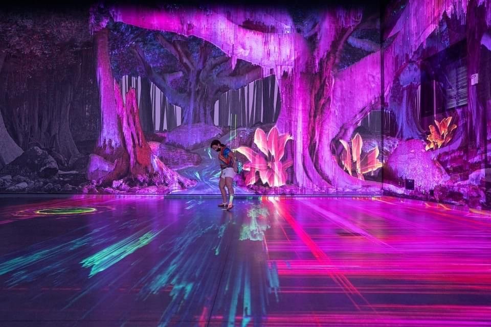Meow Wolf Denver immersive art