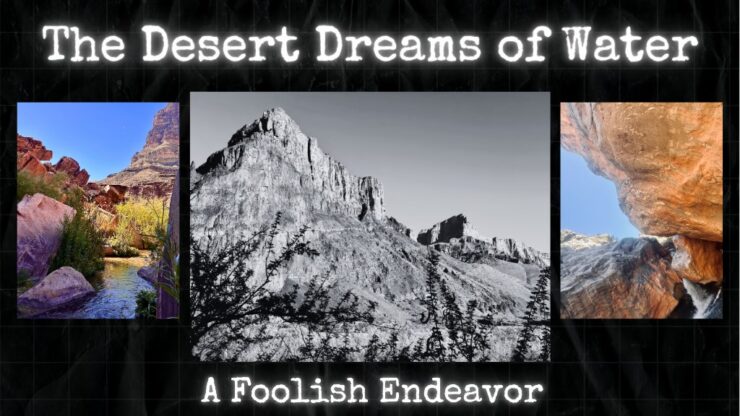 Desert Dreams of Water