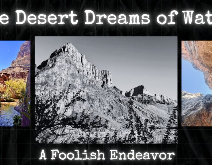 Desert Dreams of Water