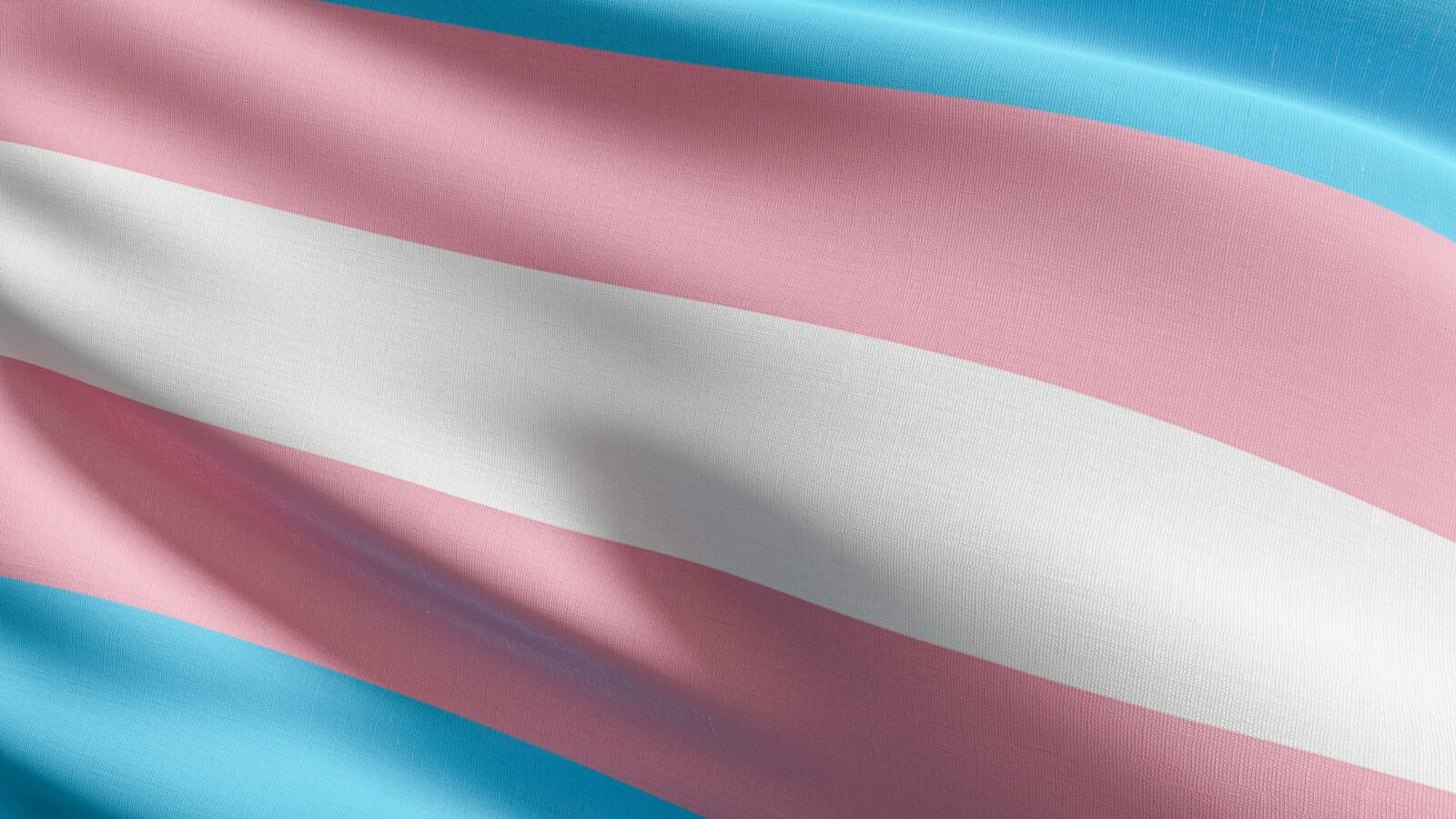 trans flag