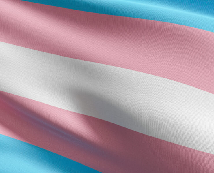 trans flag