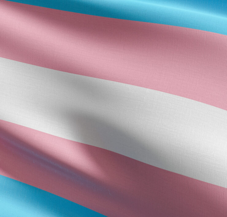 trans flag